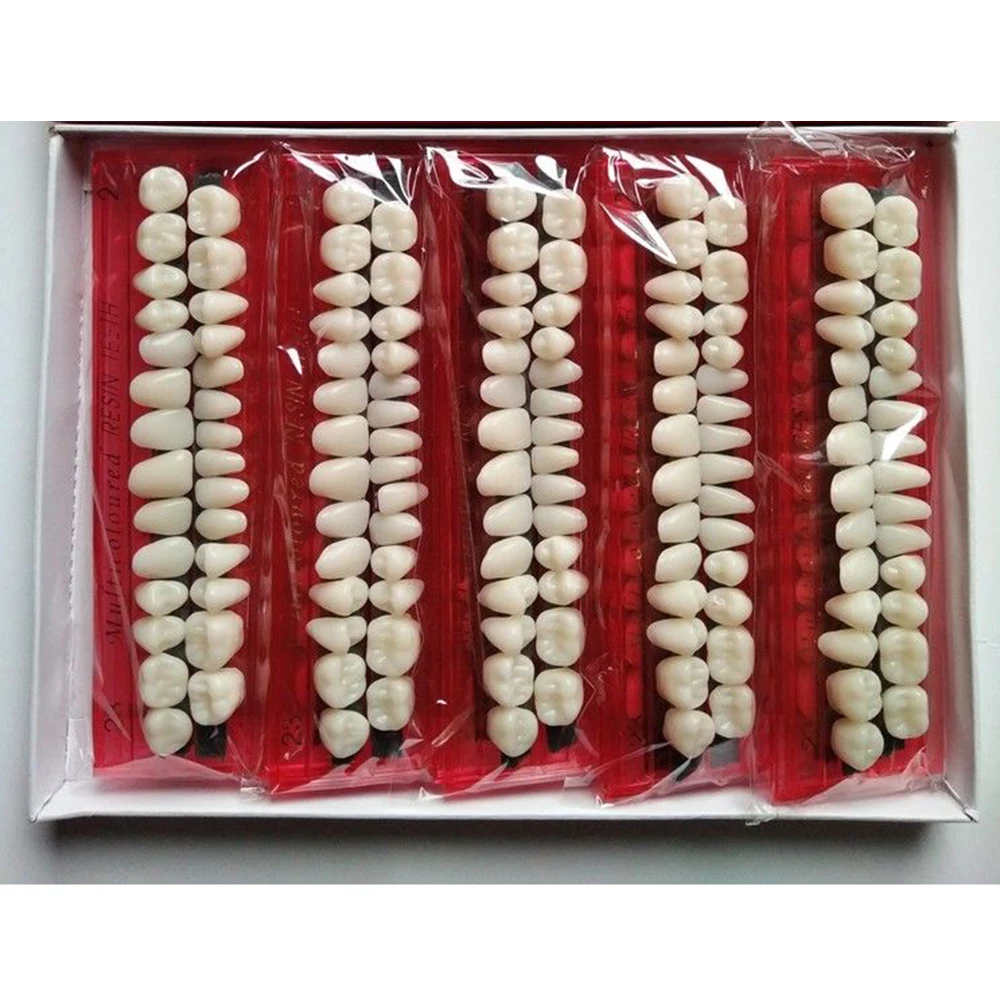 

10sets Pro Dental Material Plastic Teeth Teaching Model Dedicated Teeth Dental Material Useful Teeth Care Tool A2 Type