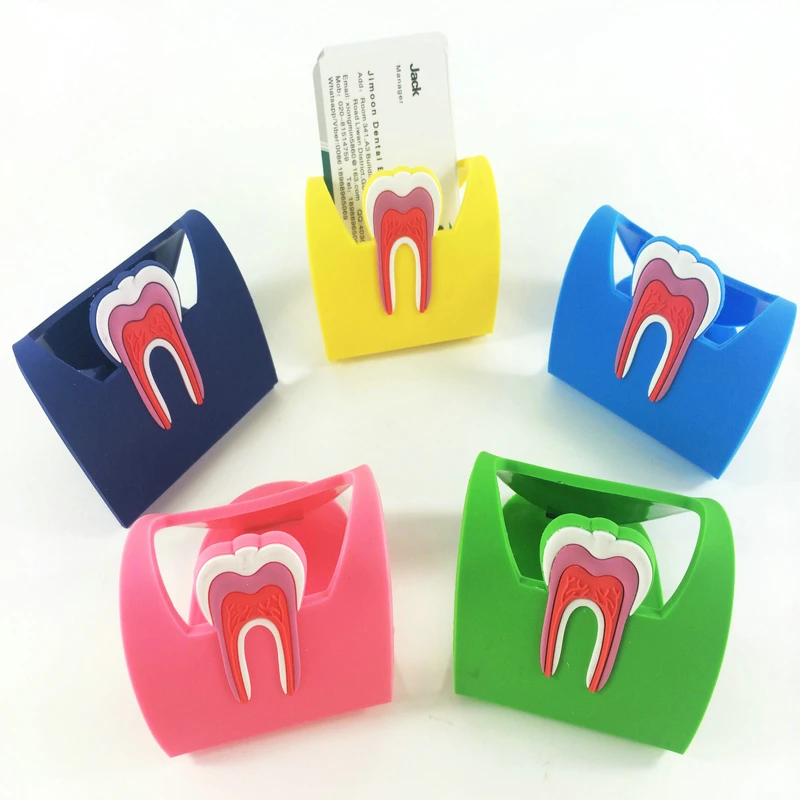 

1pc Cute Dental Card Holder Colorful Rubber Teeth Molar Shape Phone Card Name Storage Dsiaply Stand For Clinic Dentist Gift