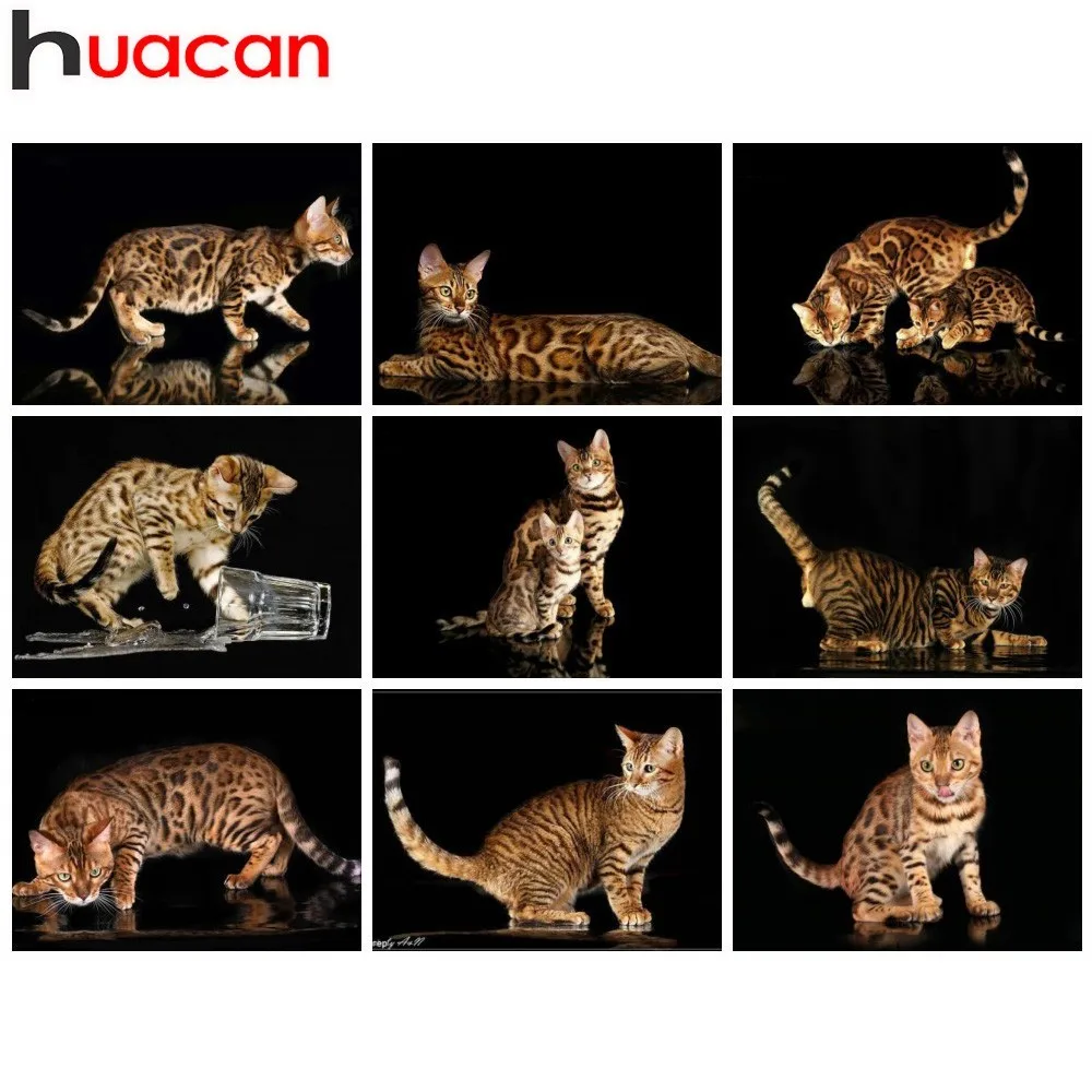

HUACAN 5D DIY Diamond Painting Cat Diamond Mosaic Animal Picture Of Rhinestones Diamond Embroidery Cross Stitch Home Decor