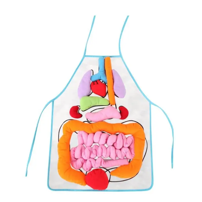 Тело внутренних органов Обучающие игрушки набор 3D органов фартук Монтессори Цвет Соответствующие игрушки раннего развития для детей игры