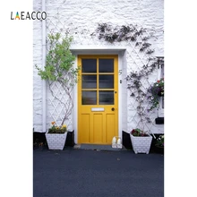 Laeacco Street Colorful Door Flowers Photography Backgrounds Summer Photocall Photographic Backdrops For Photo Studio