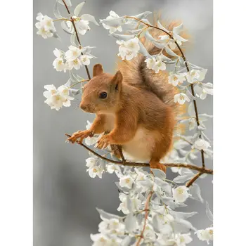 

New-Pear flower And Squirrel Diy 5D Diamond Painting Full Drill Kit Home Decor