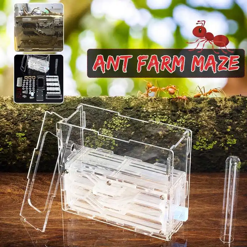 

Big Size 3.0mm DIY Moisture With Feeding Area Ant Nest ,Ant Farm Plastic, Insect Ant Nests Villa PET For Underground House Ants