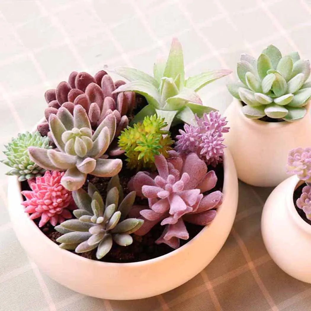 

Artificial Succulents Plastic Plants Floral Decorative Flower Mini Miniature Craft For Floristry Home Landscape Decoration