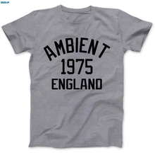 GILDAN Ambient Music 1975 T-Shirt 100% Premium Cotton Brian Eno The Orb Synthesiser 100% Cotton Fashion T Hot Sell Fashion 2019 fashion 100