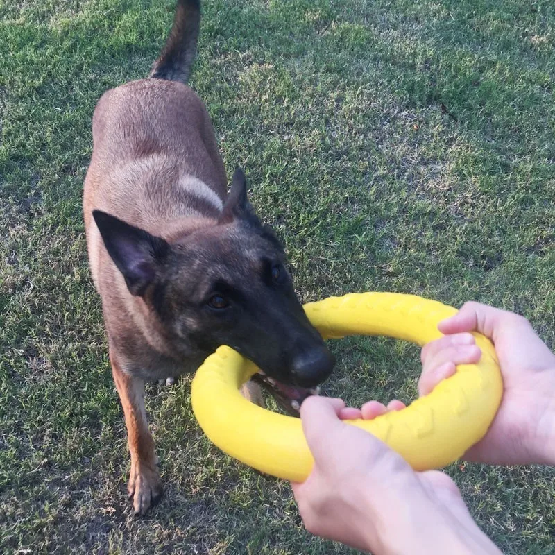 الحيوانات الأليفة تحلق أقراص إيفا الحيوانات الأليفة حلقة سحب مقاومة دغة لعبة عائمة جرو لعبة تدريب بيتبول الفرنسية الكلب التفاعلية لعب