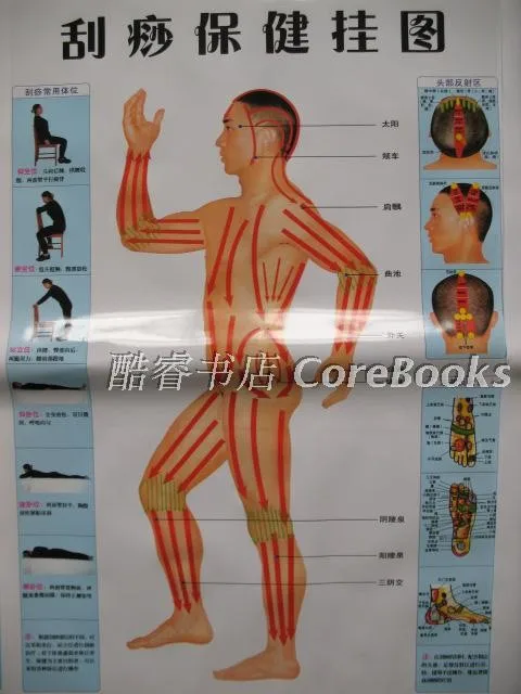 10 шт. скалывание здоровье человека Акупунктура настенная диаграмма ноги рука голова уха Акупунктура Меридиан диаграмма