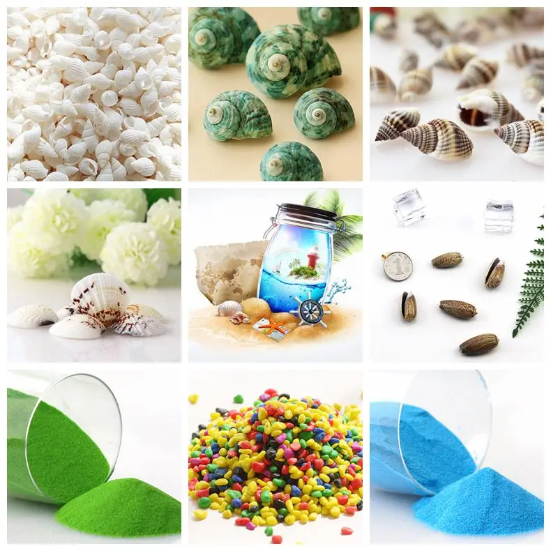 

Creative Micro-landscape Natural Conch Shell Drifting Bottle Crafts DIY Ocean Bottle Rainbow New Bottle Material Small Starfish