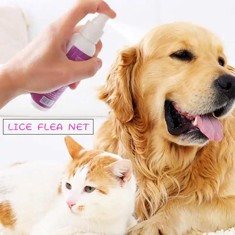 Repousse Répulsif Anti Chiens Chats Portable Ultrasons Anti Aboiement