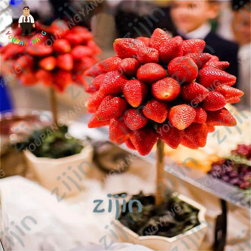 

Best-Selling!100pcs climbing strawberry bonsai Climbing Red Strawberry plant With SALUBRIOUS TASTE * NON-GMO Strawberry Mount