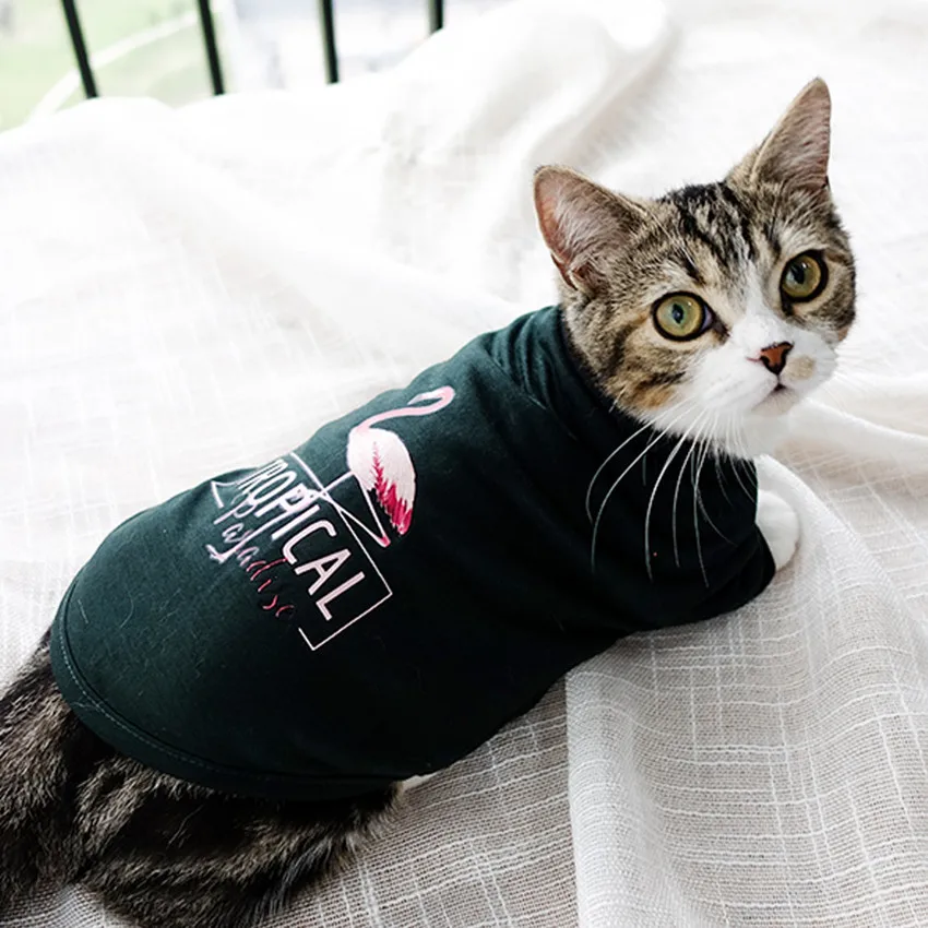 designer cat clothes