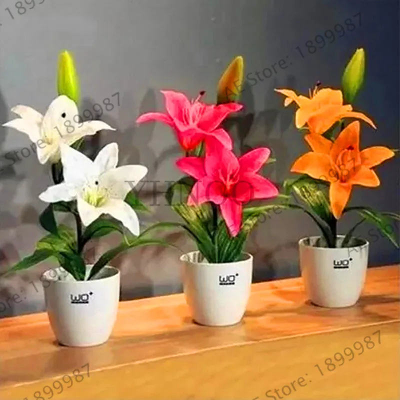 

New 2018!Specials vary color Heart Lily Plant Plants Potted Bonsai Plant Lily Flower Plantas for Home Garden 10 Pieces / lot,#2