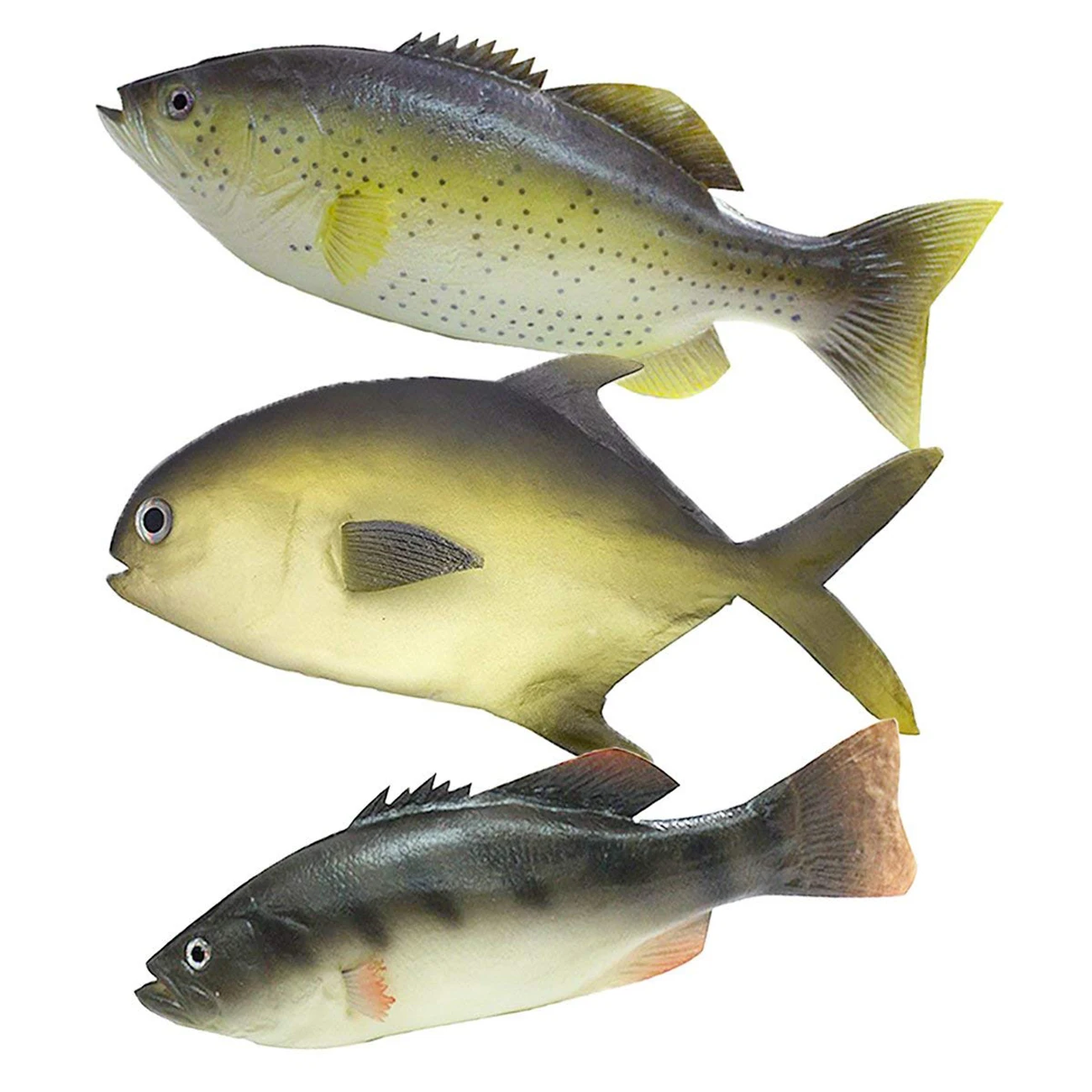 

Hot Sale 3Pcs Simulated Fish Set for Kids Pretend Play, Home Decor, Market Display, Photography Prop, 3pcs Sea Fish 2