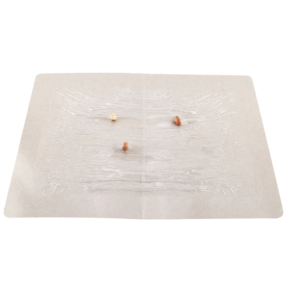 Non-toxic Tasty Meat Scent Strong Sticky Adhesive Mouse Glue Trap Inset Pests Control Reject Catcher Household Tool Non-toxic Tasty Meat Scent Strong Sticky Adhesive Mouse Glue Trap Inset Pests Control Reject Catcher Household Tool