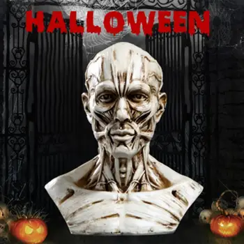 

High Precision Resin Simulation Muscle Skull Medical Mannequin Bust Crafts Creativity Refinement Ornament Delicacy Medical