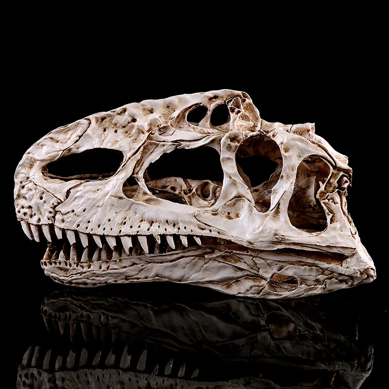 

Realistic Dinosaur Skeleton Skull Ornament Lifelike Monolophosaurus Skull Models Halloween Creative Home Decor Dinosaur Figures