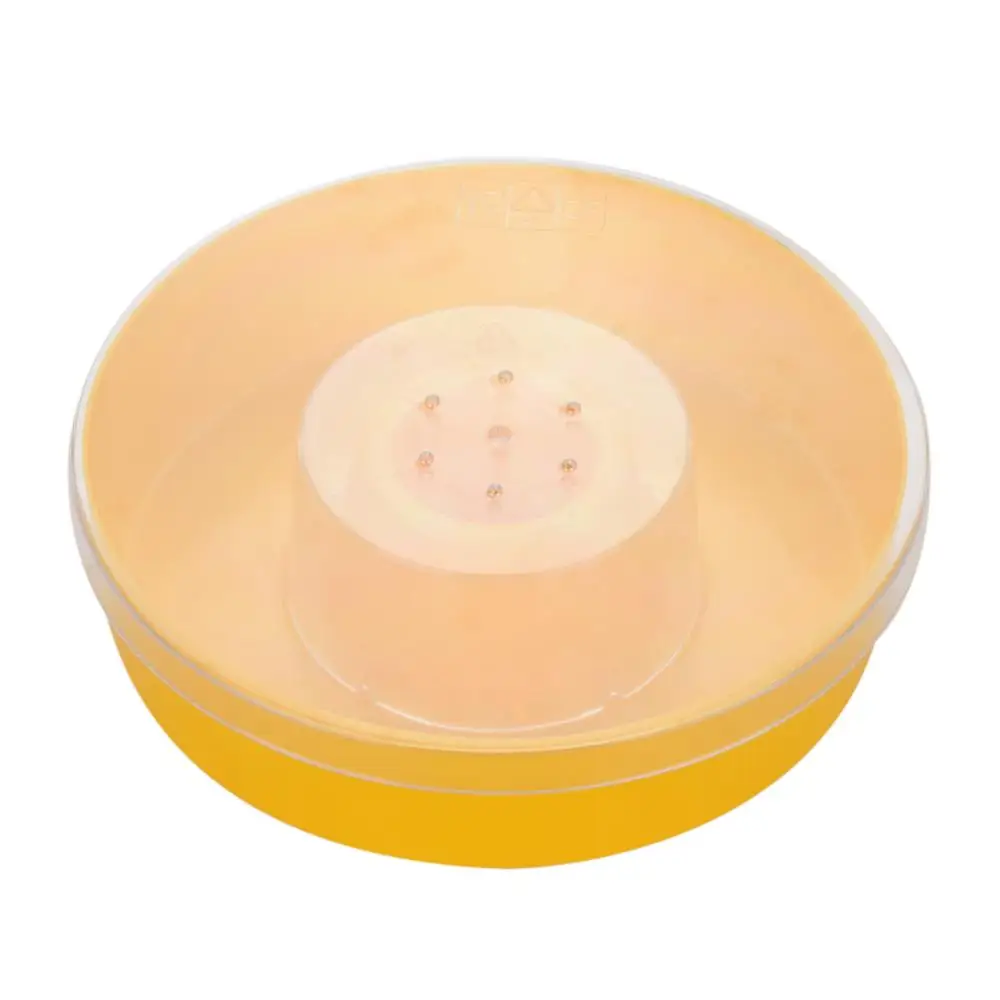

Queen Bee Keeping Plastic Water Feeder Beehive Drinking Bowl Organizer Food Container Beekeeping Equipment Bee Tools Hot