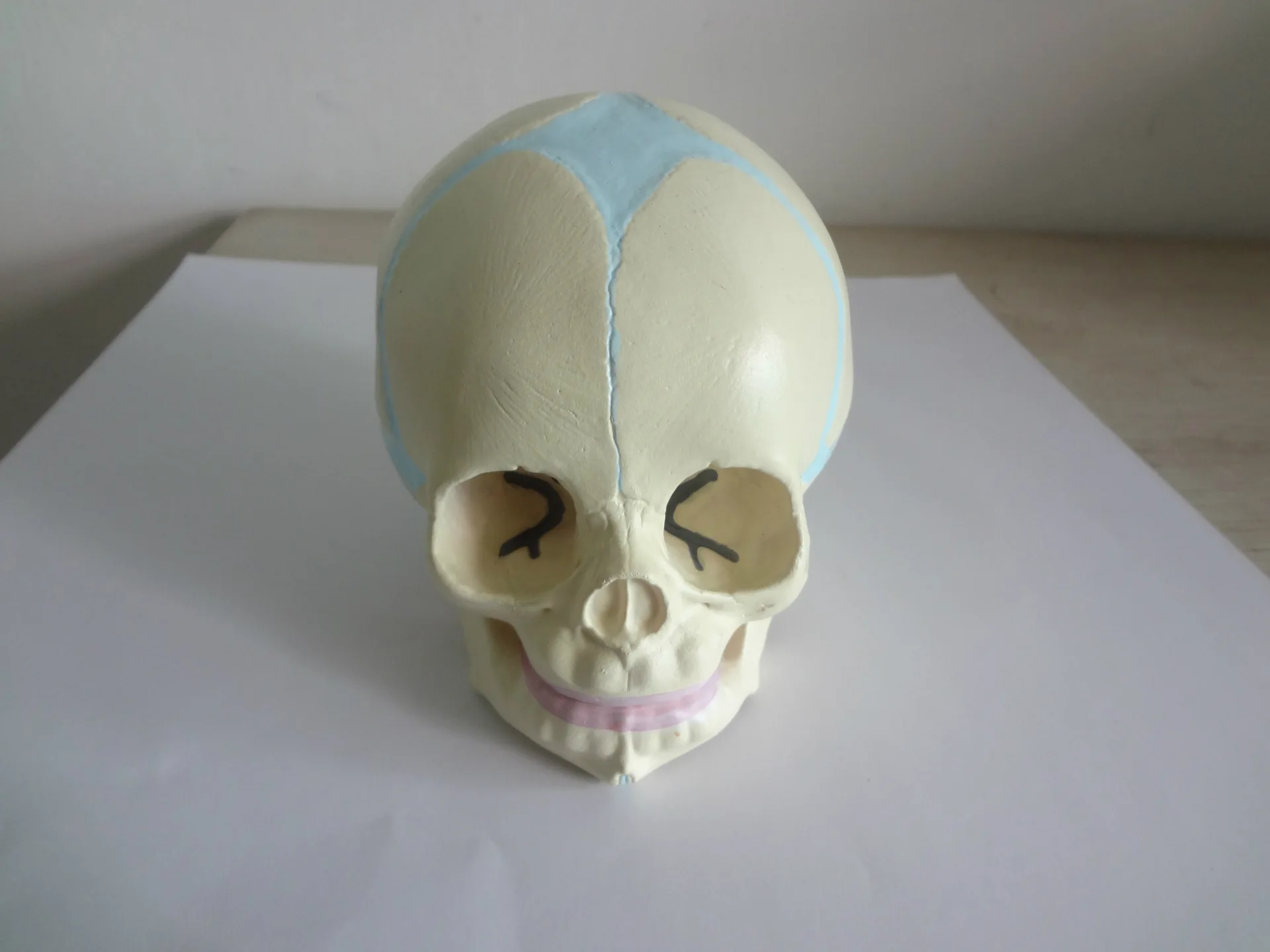 1:1 человека плода младенческой медицинский анатомический череп модель для книги по искусству эскиз Высокая моделирования спецодежда
