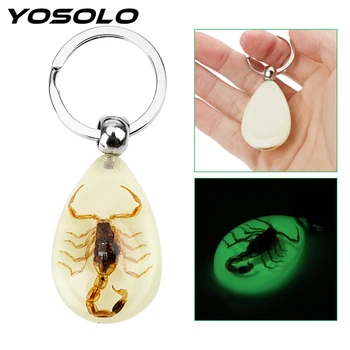 

YOSOLO Noctilucent Scorpion Keychain Handbag Wallet Pendant Auto Accessories Key Holder Car Keyring Scorpion Amber Pendant