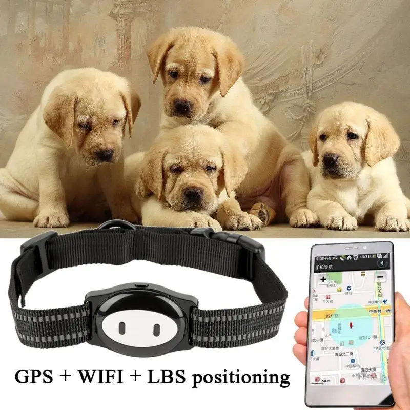 В режиме реального времени Pet gps ошейник с локатором и монитором активности отслеживающее устройство для собак и кошек пластик+ нейлон+ электронный