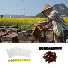 1 комплект пластиковый вывод маток Cupkit системный держатель Пасечник принадлежности для пчеловодства принадлежности отличный инструмент пчеловода комплект