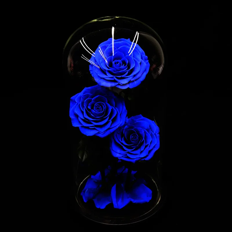 Вечные цветы сушеные цветы сохранены свежий синий цветок живая Роза стеклянный купол подарочная коробка синий