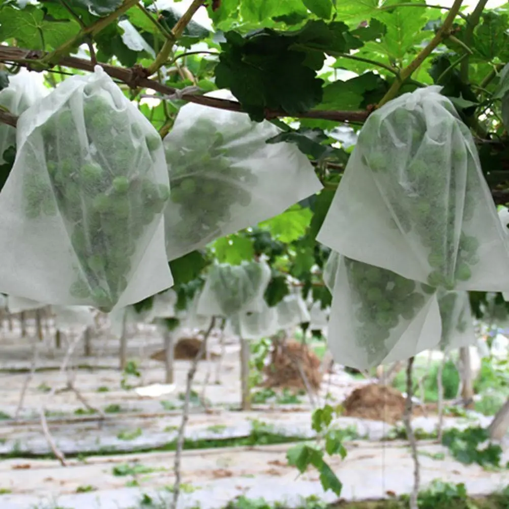 

100PCS Garden Plants Vegetable Fruit Protection Bag Anti Bird Drawstring Netting Mesh Bag For Agriculture Pest Control Tools