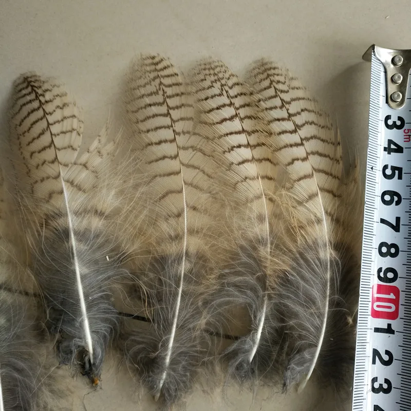 10 pieces rare natural Owl Eagle Feathers long 10-20 cm DIY Feather art design