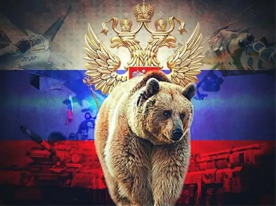 Алмазная живопись животные алмазная вышивка медведь рукоделие мозаика