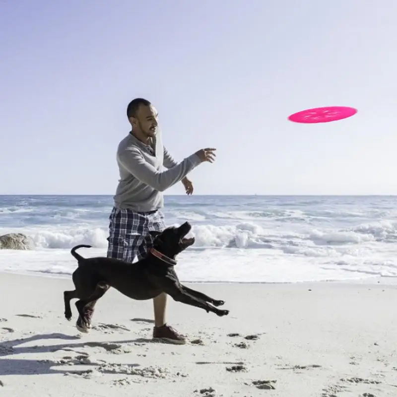 الحيوانات الأليفة لعبة تدريب تحلق القرص الكلب LED الإضاءة دغة مقاومة غير سامة سيليكون رمي لعبة الحيوانات الأليفة لعبة تدريب تحلق القرص الكلب LED الإضاءة دغة مقاومة غير سامة سيليكون رمي لعبة