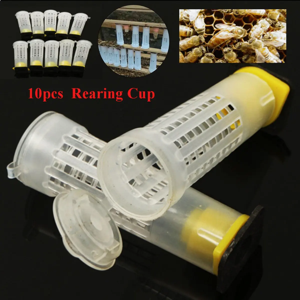 

10PCS Bee Keeping Queen Bee Roller Cages + Cell Cup Holder & Fixtures Rearing Apiculture Beekeeping Equipment Kit Set