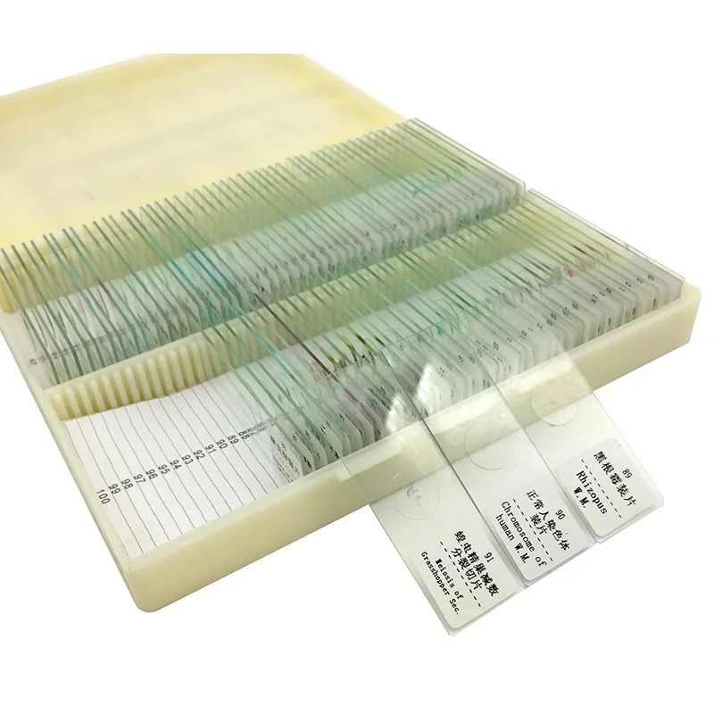 91 Pieces Mixed Microscope Prepared Slides Biological Teaching Studying Middle School Student Children Birthday Gift