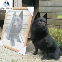 Joy Sunday фото на заказ! Алмазная живопись 5D «сделай сам»! Сделайте свой собственный Алмаз Картина Полная площадь Алмазная вышивка