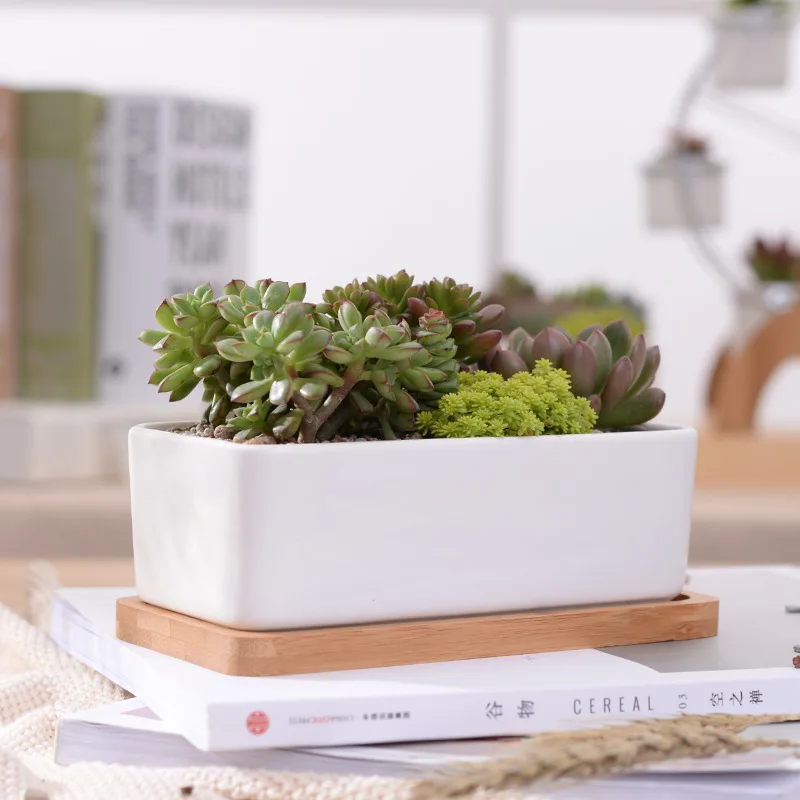 

1 Set Minimalist Rectangle White Ceramic Succulent Plant Pot Porcelain Desktop Flower Pot Home Decor (1 x Pot + 1 x Tray)