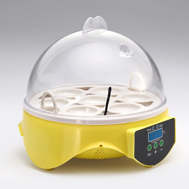 Mini 7 Egg Incubator Poultry Incubator Brooder Digital Temperature Hatchery Egg Incubator Hatcher Chicken Duck Bird Pigeo Mini 7 Egg Incubator Poultry Incubator Brooder Digital Temperature Hatchery Egg Incubator Hatcher Chicken Duck Bird Pigeo