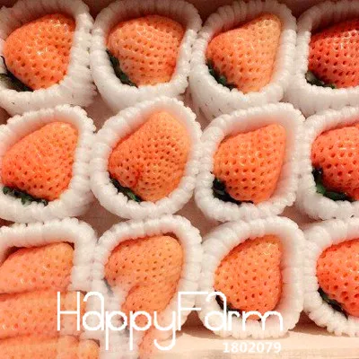 

Big Promotion!50 PCS/Pack Shiny Pink Strawberry Bonsai Potted Garden Courtyard With Strawberry Fruit Plants,#AB5ANL