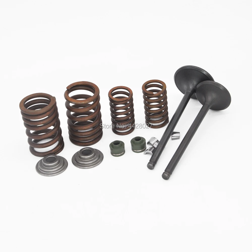 Intake Exhaust Valves Rebuild Kit for Zongshen CG250 250cc ATV Dirt Bike Go Kart