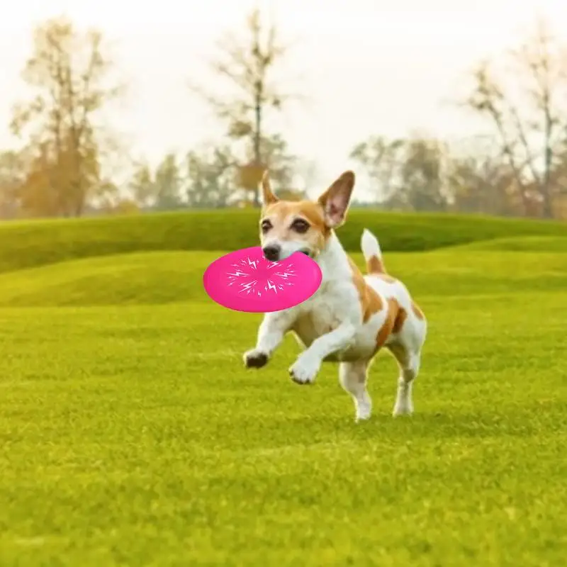 الحيوانات الأليفة لعبة تدريب تحلق القرص الكلب LED الإضاءة دغة مقاومة غير سامة سيليكون رمي لعبة الحيوانات الأليفة لعبة تدريب تحلق القرص الكلب LED الإضاءة دغة مقاومة غير سامة سيليكون رمي لعبة