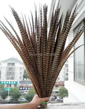 

Wholesale 50pcs 50-55 cm Natural pheasant Chicken tail feathers lady amherst for crafts jewelry Show Headwear Vase Decorations