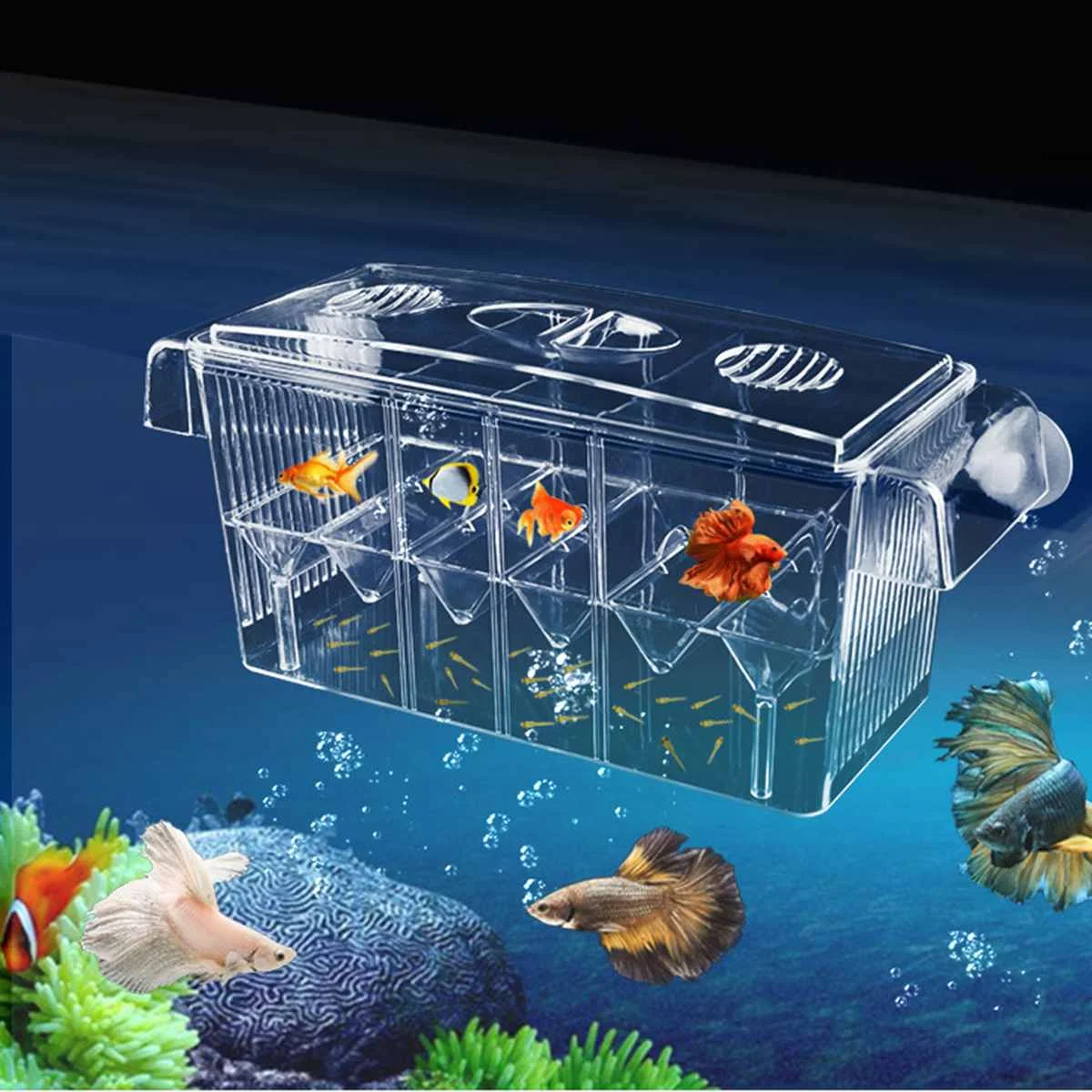 

4 Grides Aquarium Incubator Breeding Isolation Box Fish Tank Hatching Transparent Boxes Multifunctional Acrylic Fish Tank Holder