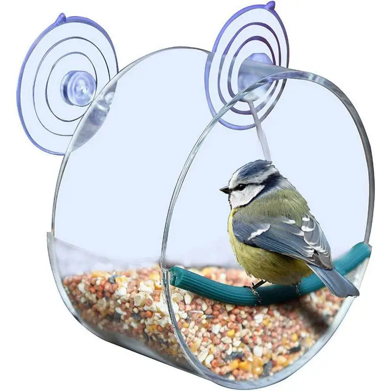 Clear Glass Window Viewing Bird Feeder Hotel Table Seed Peanut