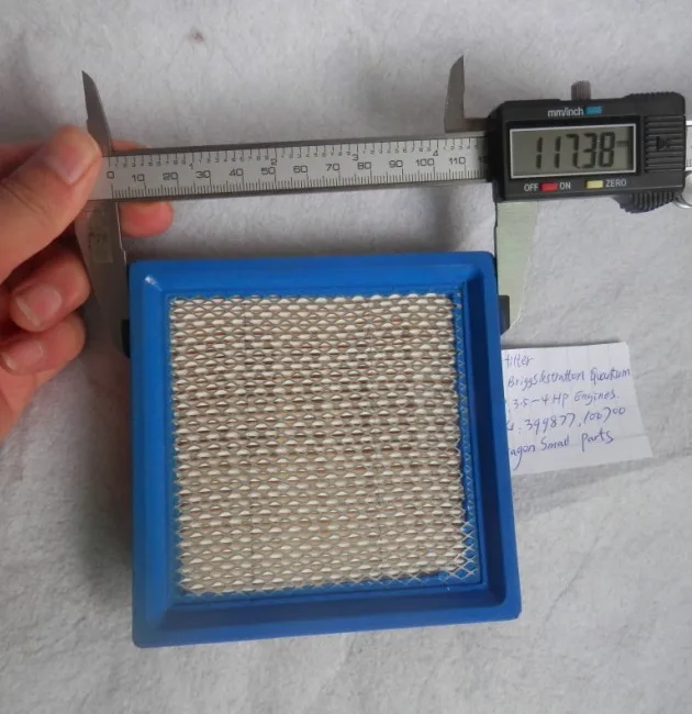 Air Filter Briggs & Stratton 399877 100700 5