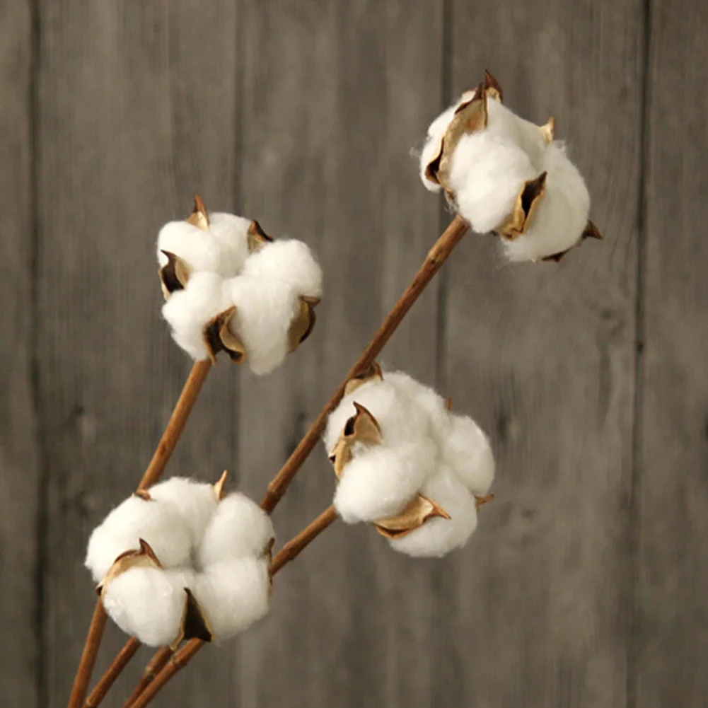 

10pcs Natural Wedding With Stem Dried DIY Crafts Cotton Flower Party Pressed Home Decor