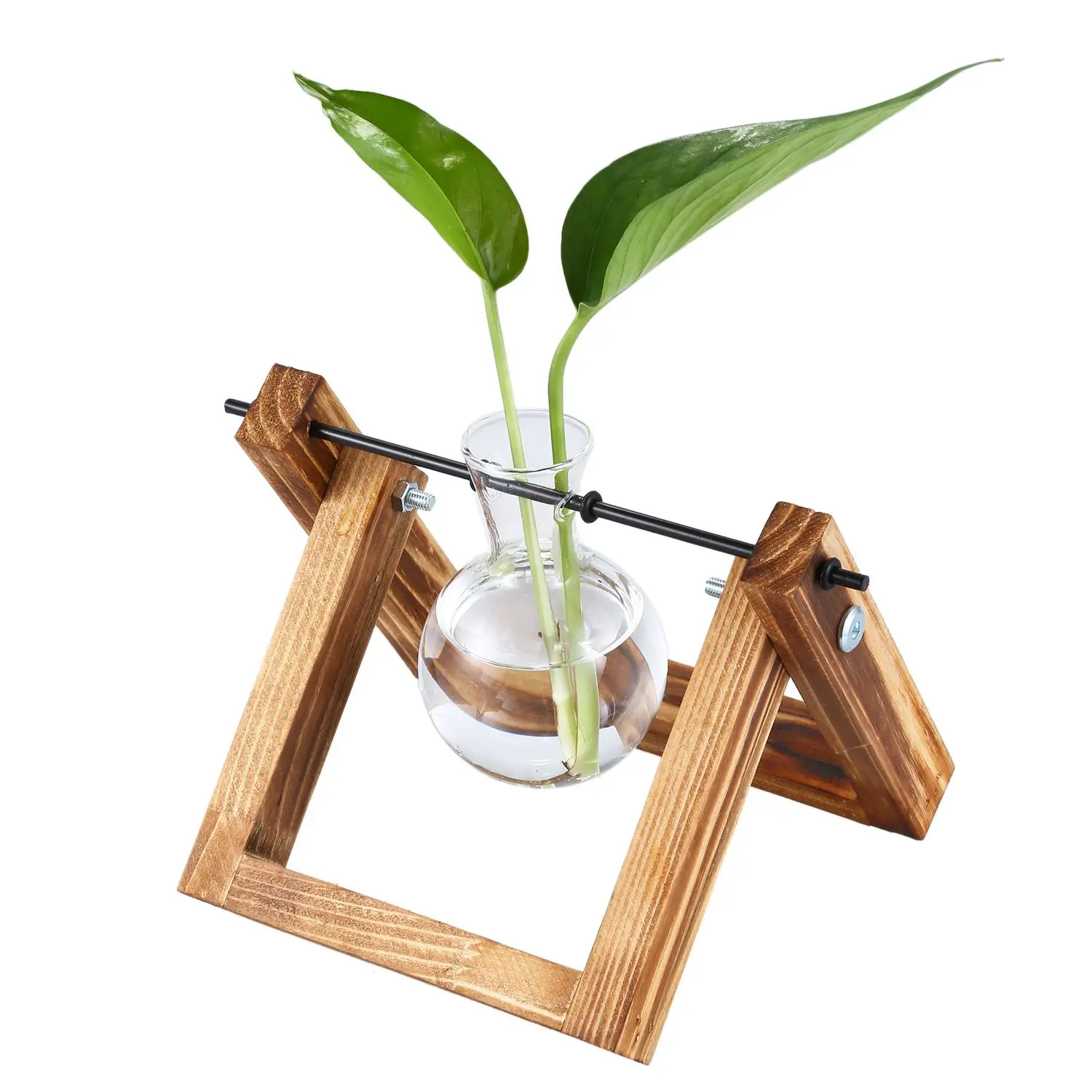 JEYL деревянная подставка прозрачный стеклянный растительный контейнер стоящий Гидропоника цветочный горшок домашний стол Декор(подставка с 1 горшком