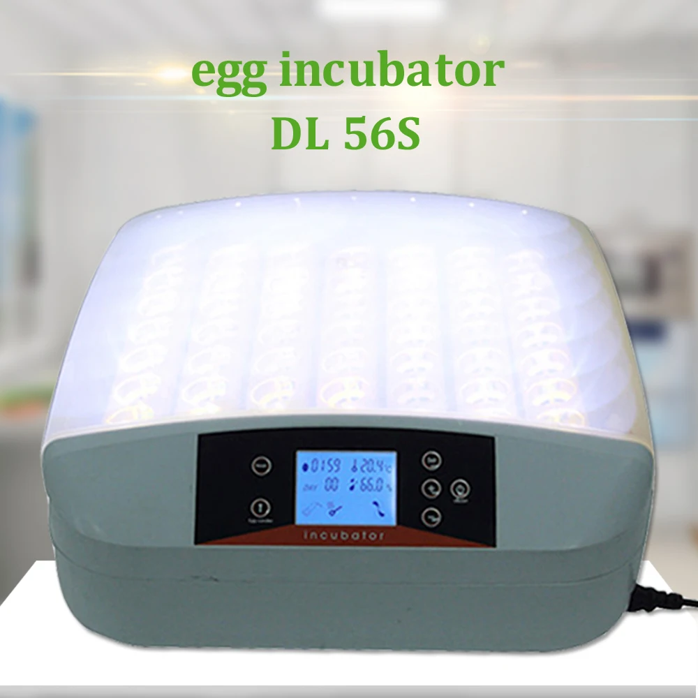 humidity of incubator for chicken eggs humidity of incubator for chicken eggs