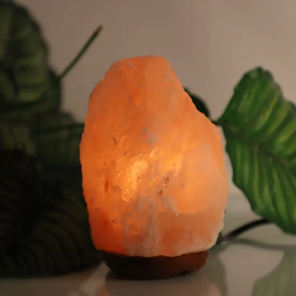 

2-5 KG Himalayan Crystal Salt Lamp EU Plug Air Purifier Night Salt Light Natural Shape Rock Lamp for Bedroom Relieving Stress