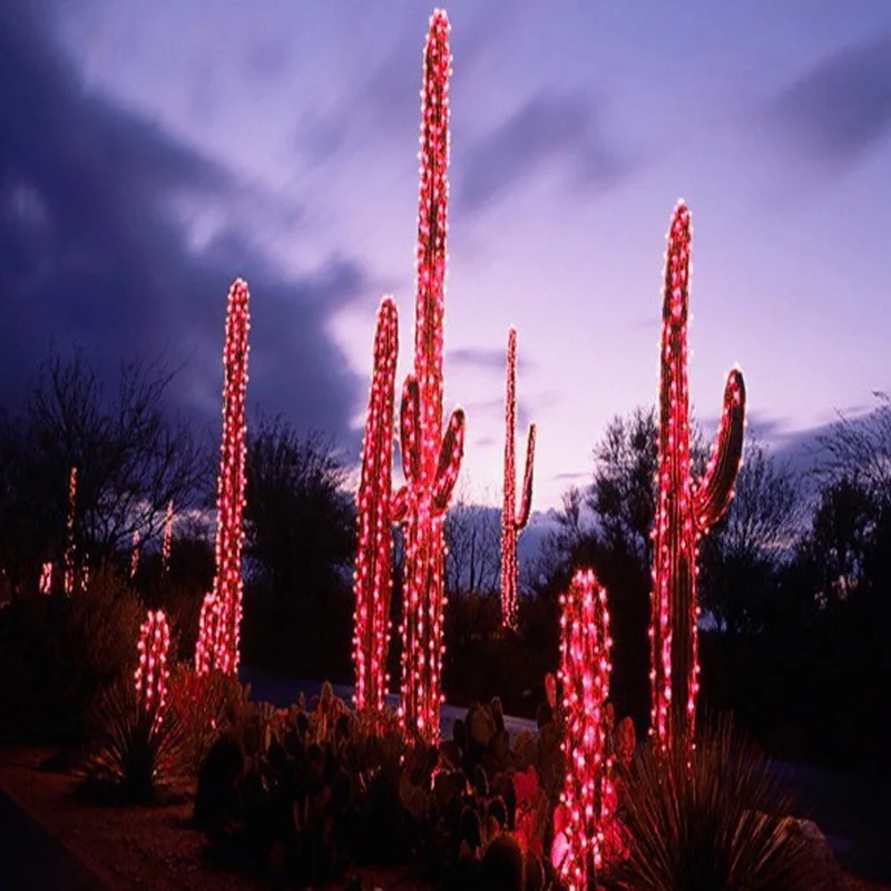 10 м 100 светодиодные красные огни Декоративный Рождественский праздник, фестиваль мерцающие струнные лампы с хвостовой вилкой 110 в день