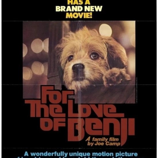 For the Love of Benji Movie Poster (11 x 17) |