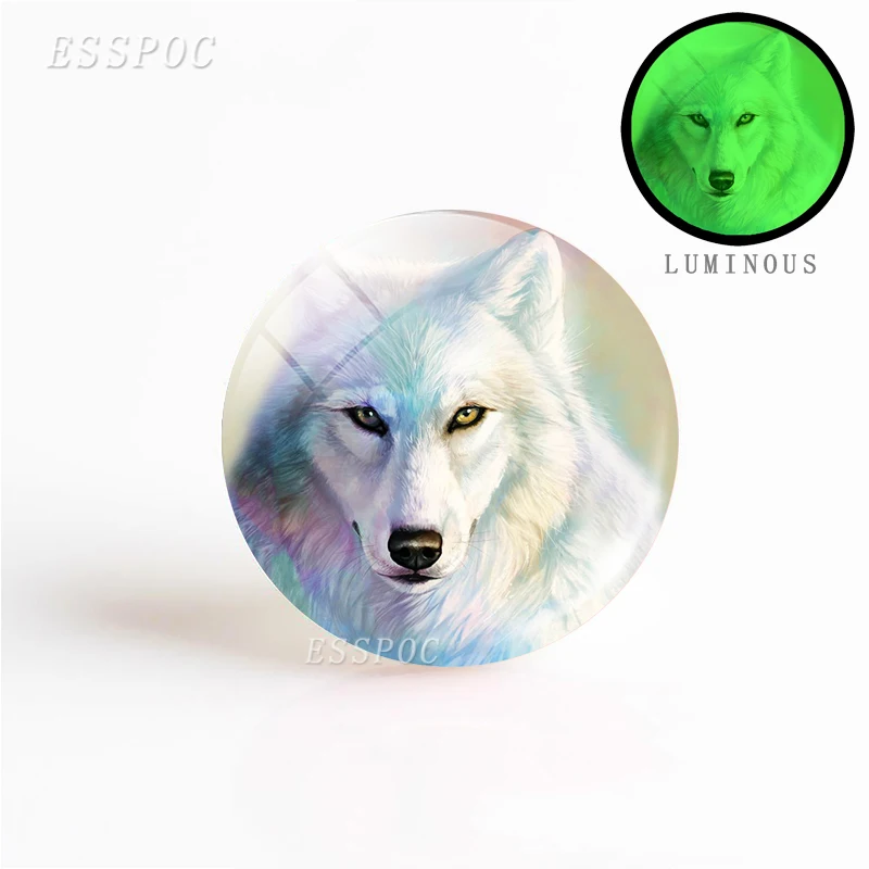 5PCS/SET 25mm Luminous Glass Cabochon Jewelry Aggressive Wolf Pattern Round Making Glowing In The Dark DIY Gift