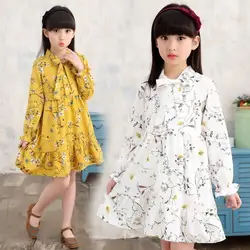 Шифоновое платье, детская одежда с длинными рукавами для девочек, осень-весна 2019, платье принцессы с цветочным рисунком вечерние ная Одежда